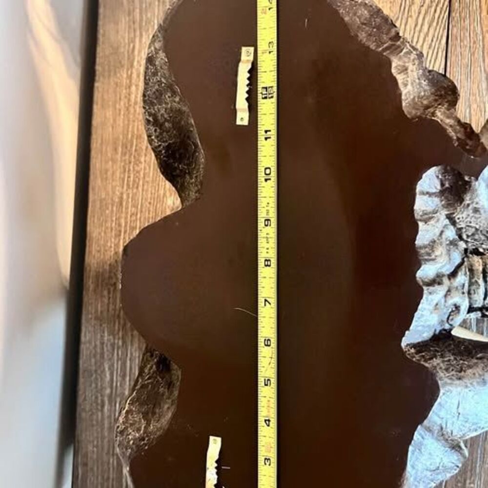 RARE Exotic Polyresin African Elephant Head Wall Mount Sculpture Realistic - Picture 9 of 10
